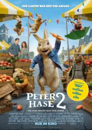 Kaçak Tavşan izle